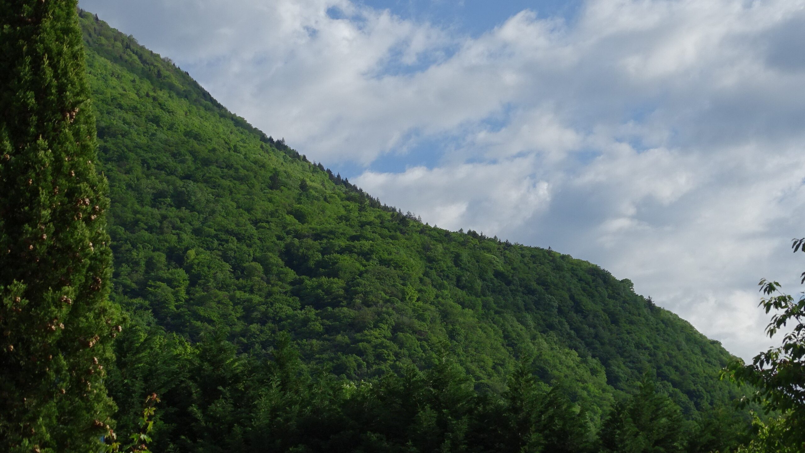 carrousel paysage